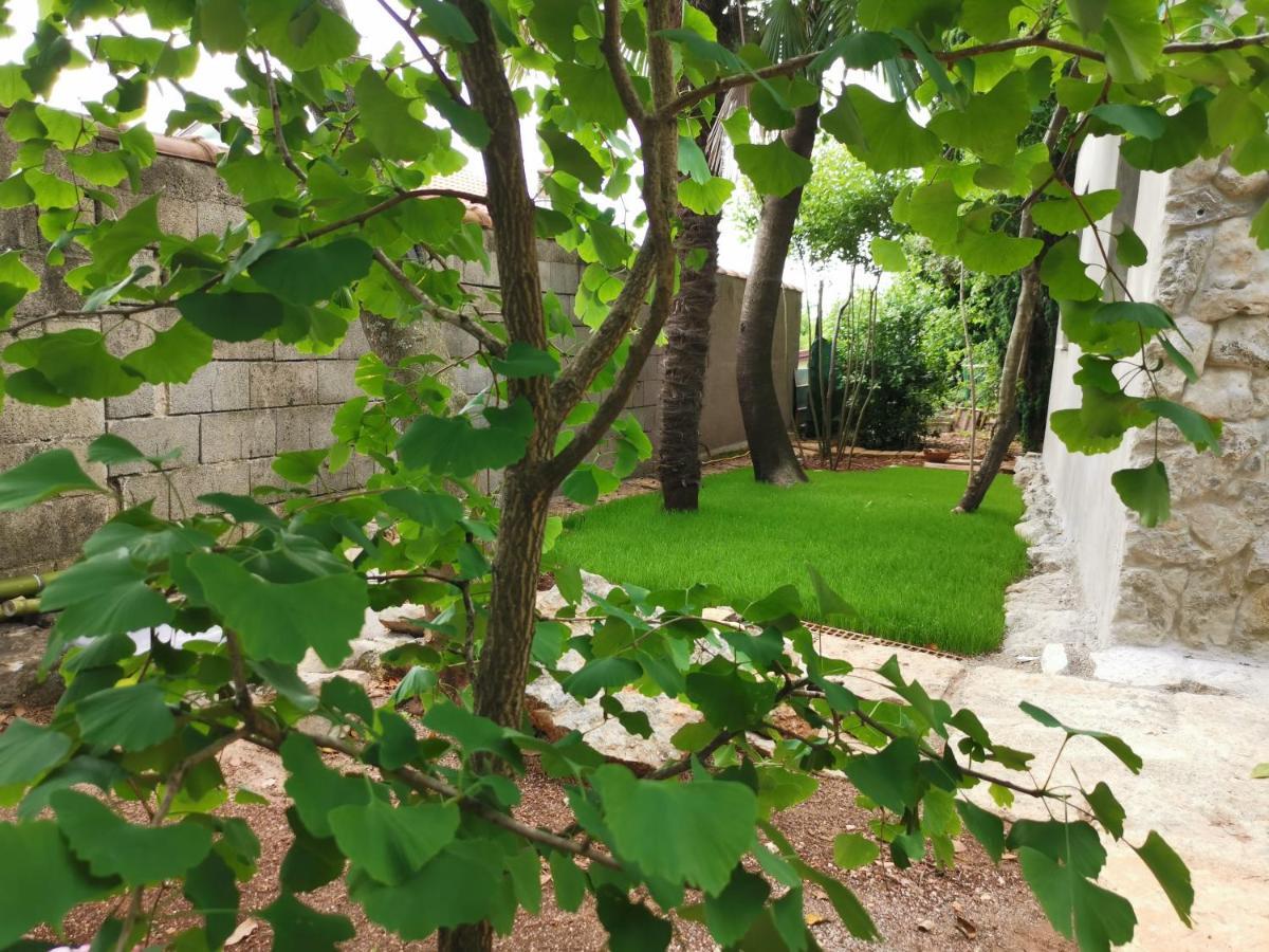 Ginko House Apartment Opatija Exterior foto